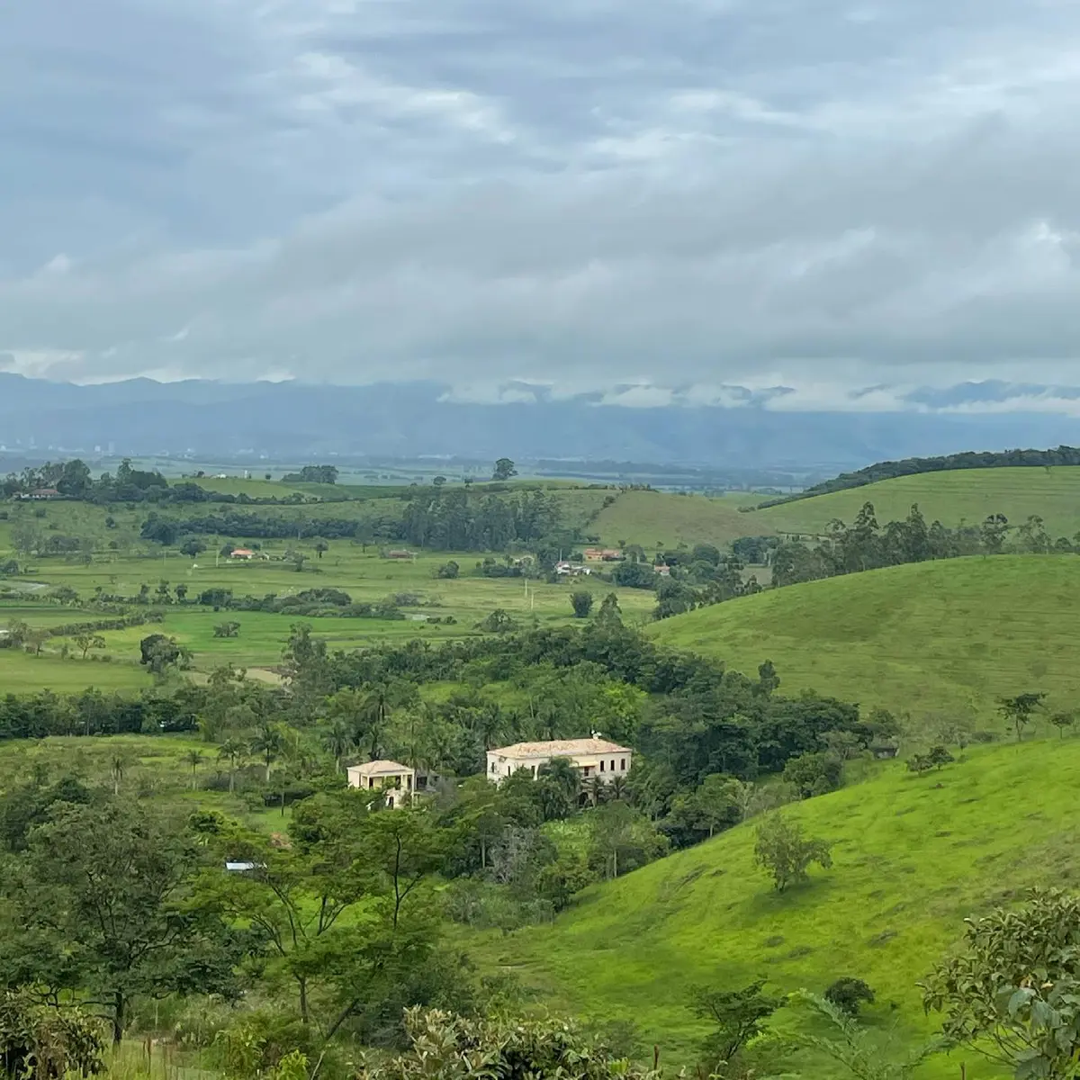 Nature at Fazenda Neuchatel in the Paraíba Valley