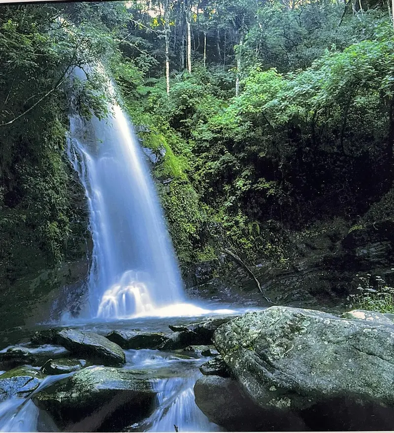 Waterfall in the forest at Fazenda Neuchatel